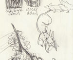 'Acorns' Squirrel and Tree Observational Sketches by Gemma Roberts